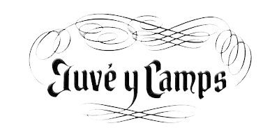 ANAC-juve-y-camps